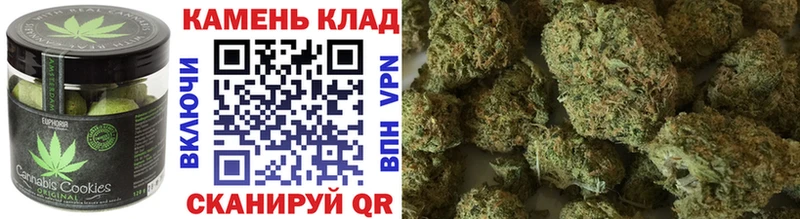 Купить закладки  Карачаевск  Печенье с ТГК конопля 
