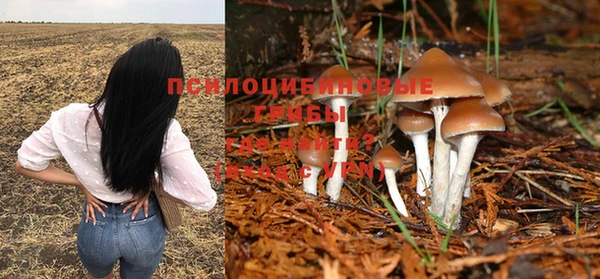 первитин Заводоуковск