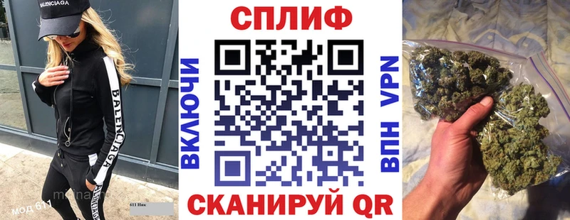Купить закладки  Карачаевск  Каннабис AK-47 